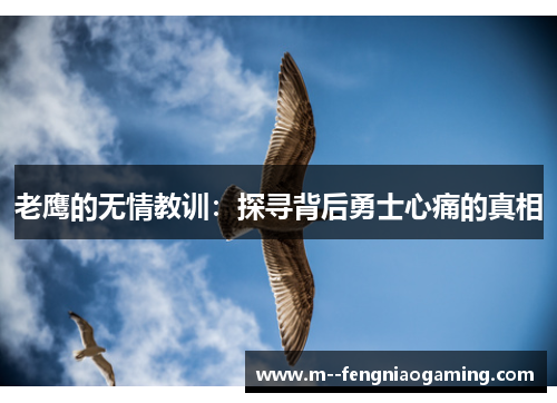 老鹰的无情教训：探寻背后勇士心痛的真相