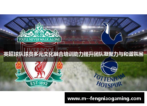 英超球队球员多元文化融合培训助力提升团队凝聚力与和谐氛围 英超球队球员多元文化融合培训助力提升团队凝聚力与和谐氛围