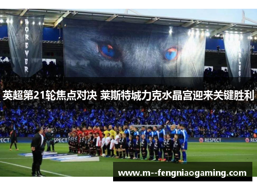 英超第21轮焦点对决 莱斯特城力克水晶宫迎来关键胜利 英超第21轮焦点对决 莱斯特城力克水晶宫迎来关键胜利