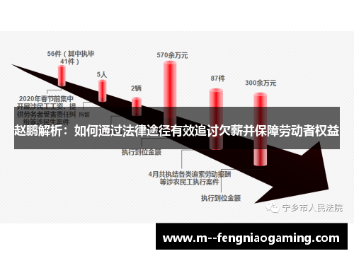 赵鹏解析：如何通过法律途径有效追讨欠薪并保障劳动者权益