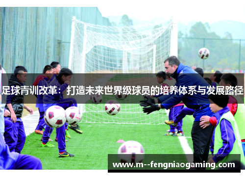 足球青训改革：打造未来世界级球员的培养体系与发展路径