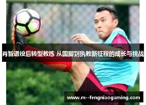 肖智退役后转型教练 从国脚到执教新征程的成长与挑战