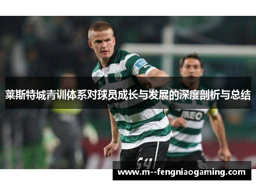 莱斯特城青训体系对球员成长与发展的深度剖析与总结