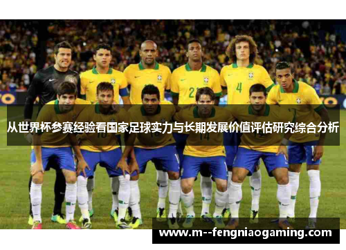 从世界杯参赛经验看国家足球实力与长期发展价值评估研究综合分析