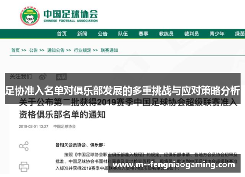 足协准入名单对俱乐部发展的多重挑战与应对策略分析 足协准入名单对俱乐部发展的多重挑战与应对策略分析