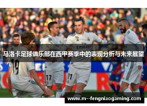 马洛卡足球俱乐部在西甲赛季中的表现分析与未来展望