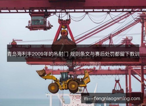 青岛海利丰2009年的吊射门 规则条文与赛后处罚都留下教训